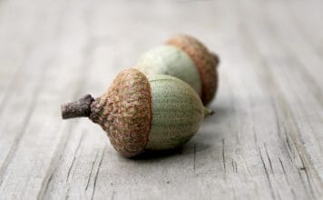 Acorns buys Frich to attract the next generation of investors