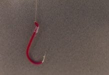 Phishing fears push SWIVEL to rethink payment reminders