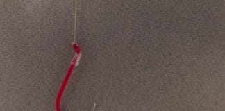 Phishing fears push SWIVEL to rethink payment reminders