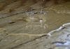 Lockton partners with LAIIER and Watergate to tackle water claims Lockton partners with LAIIER and Watergate to tackle water claims